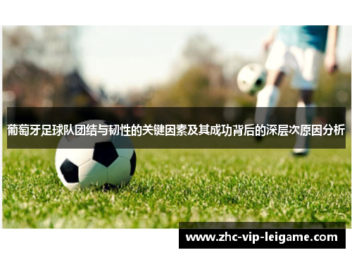 葡萄牙足球队团结与韧性的关键因素及其成功背后的深层次原因分析