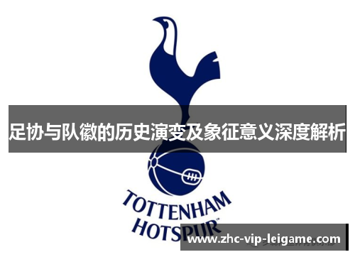 足协与队徽的历史演变及象征意义深度解析 足协与队徽的历史演变及象征意义深度解析